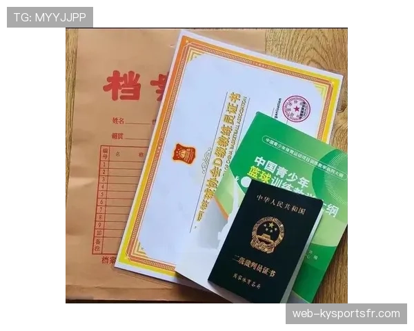 篮球挑战判罚规则详解：教练何时可申请判罚回放？